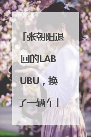 张朝阳退回的LABUBU，换了一辆车