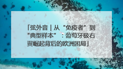 弦外音｜从“免疫者”到“典型样本”：葡萄牙极右翼崛起背后的欧洲困局