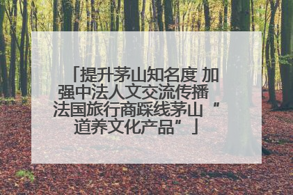 提升茅山知名度 加强中法人文交流传播 法国旅行商踩线茅山“道养文化产品”