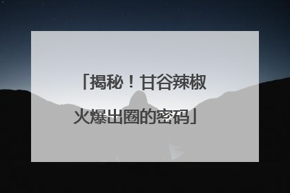 揭秘！甘谷辣椒火爆出圈的密码