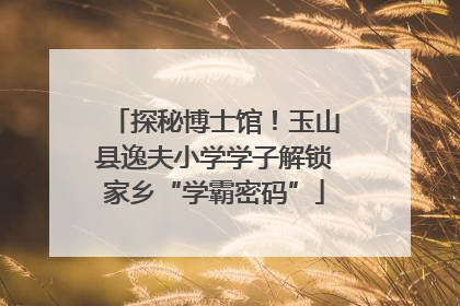 探秘博士馆！玉山县逸夫小学学子解锁家乡“学霸密码”