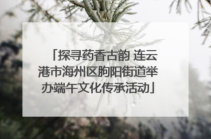 探寻药香古韵 连云港市海州区朐阳街道举办端午文化传承活动