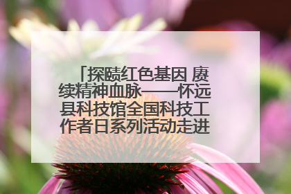 探赜红色基因 赓续精神血脉——怀远县科技馆全国科技工作者日系列活动走进怀远县实验中学