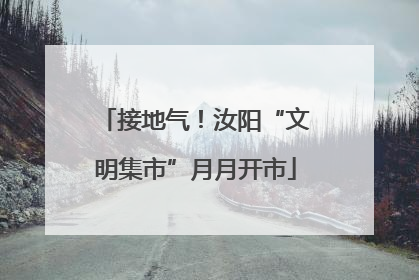 接地气！汝阳“文明集市”月月开市