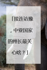 接连访豫，中亚国家的州长最关心啥？