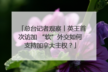总台记者观察丨英王首次访加 “软”外交如何支持加拿大主权？