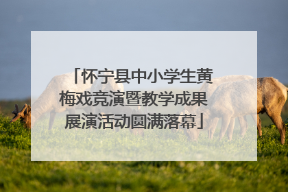 怀宁县中小学生黄梅戏竞演暨教学成果展演活动圆满落幕