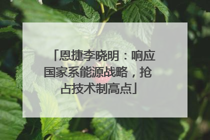 恩捷李晓明：响应国家系能源战略，抢占技术制高点