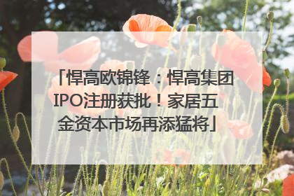 悍高欧锦锋：悍高集团IPO注册获批！家居五金资本市场再添猛将