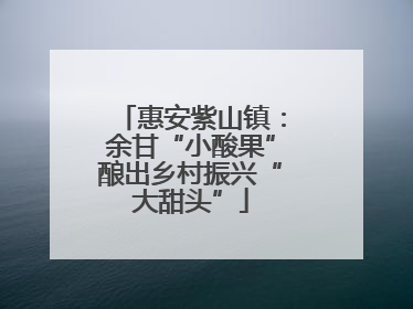 惠安紫山镇：余甘“小酸果”酿出乡村振兴“大甜头”