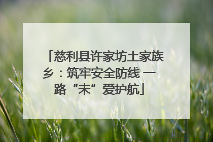 慈利县许家坊土家族乡：筑牢安全防线 一路“未”爱护航