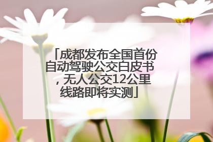 成都发布全国首份自动驾驶公交白皮书，无人公交12公里线路即将实测