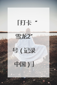 打卡“雪龙2”号（记录中国）