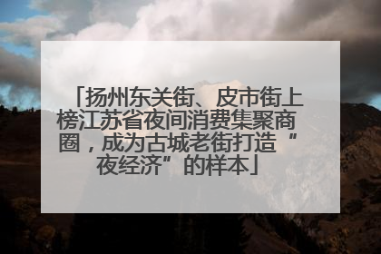 扬州东关街、皮市街上榜江苏省夜间消费集聚商圈，成为古城老街打造“夜经济”的样本