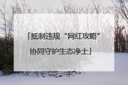 抵制违规“网红攻略” 协同守护生态净土