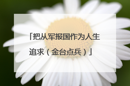 把从军报国作为人生追求（金台点兵）