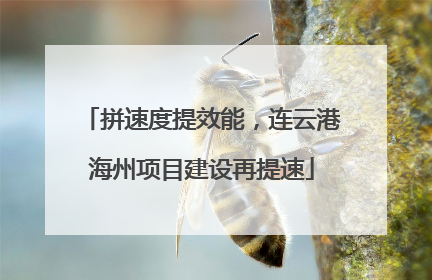 拼速度提效能，连云港海州项目建设再提速
