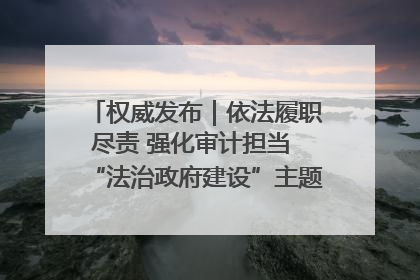 权威发布｜依法履职尽责 强化审计担当 “法治政府建设”主题系列新闻发布会市审计局专场召开