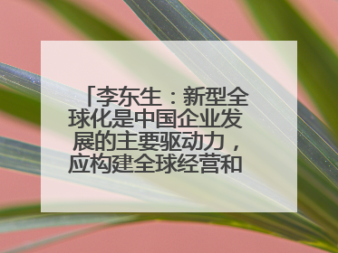 李东生：新型全球化是中国企业发展的主要驱动力，应构建全球经营和供应链体系