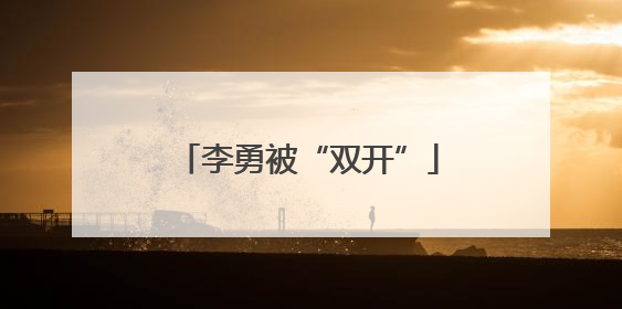 李勇被“双开”