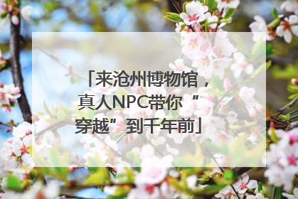 来沧州博物馆，真人NPC带你“穿越”到千年前
