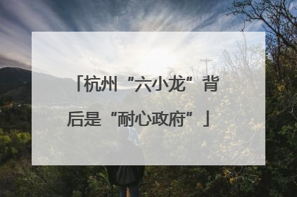 杭州“六小龙”背后是“耐心政府”
