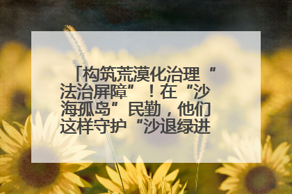 构筑荒漠化治理“法治屏障”！在“沙海孤岛”民勤，他们这样守护“沙退绿进”的生态奇迹