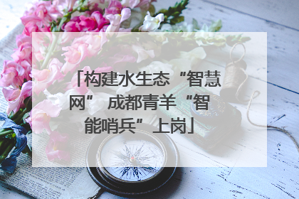构建水生态“智慧网” 成都青羊“智能哨兵”上岗