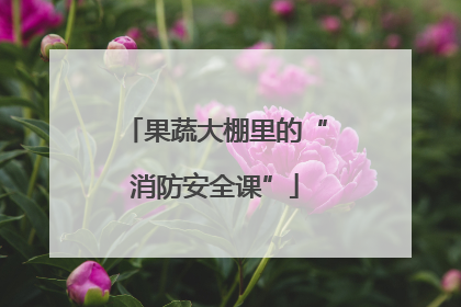 果蔬大棚里的“消防安全课”
