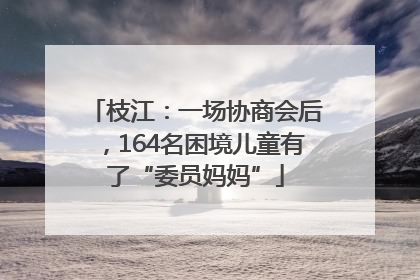 枝江：一场协商会后，164名困境儿童有了“委员妈妈”