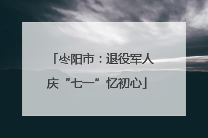 枣阳市：退役军人庆“七一”忆初心