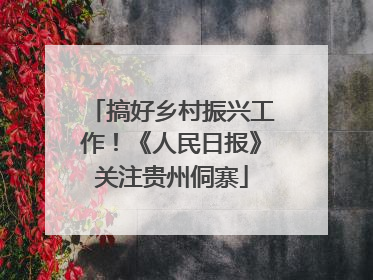 搞好乡村振兴工作！《人民日报》关注贵州侗寨