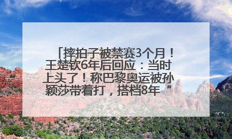 摔拍子被禁赛3个月！王楚钦6年后回应：当时上头了！称巴黎奥运被孙颖莎带着打，搭档8年“一个眼神就能懂”