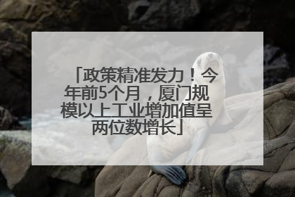 政策精准发力！今年前5个月，厦门规模以上工业增加值呈两位数增长