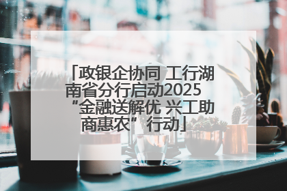 政银企协同 工行湖南省分行启动2025“金融送解优 兴工助商惠农”行动