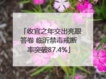 收官之年交出亮眼答卷 临沂禁毒戒断率突破87.4%