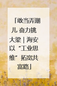 敢当弄潮儿 奋力挑大梁｜海安以“工业思维”拓宽共富路