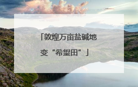 敦煌万亩盐碱地变“希望田”