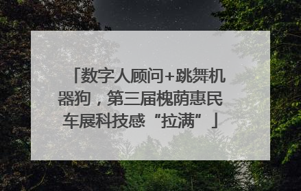 数字人顾问+跳舞机器狗，第三届槐荫惠民车展科技感“拉满”