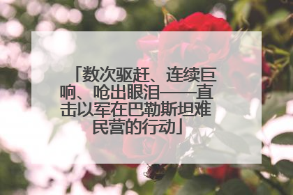 数次驱赶、连续巨响、呛出眼泪——直击以军在巴勒斯坦难民营的行动