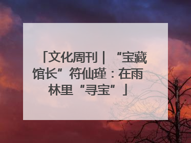 文化周刊｜“宝藏馆长”符仙瑾：在雨林里“寻宝”