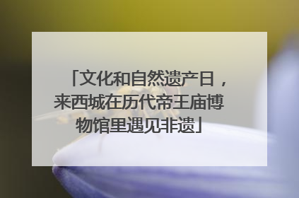 文化和自然遗产日，来西城在历代帝王庙博物馆里遇见非遗