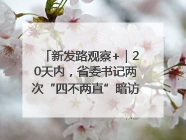 新发路观察+｜20天内，省委书记两次“四不两直”暗访，有何深意？
