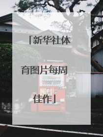 新华社体育图片每周佳作