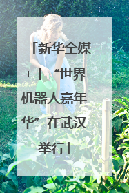 新华全媒+丨“世界机器人嘉年华”在武汉举行