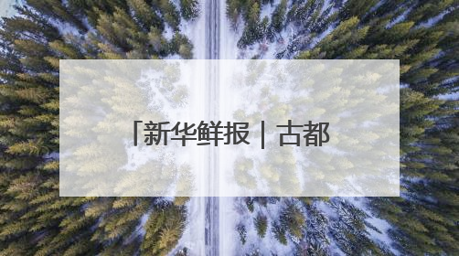 新华鲜报｜古都携手丝路！丝博会绽放新活力