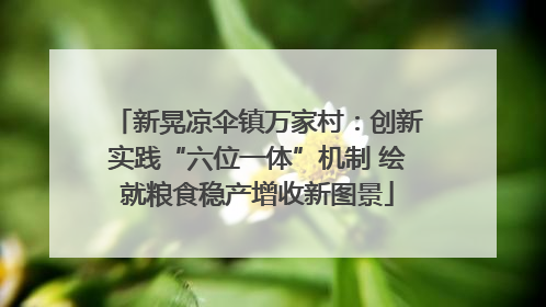 新晃凉伞镇万家村：创新实践“六位一体”机制 绘就粮食稳产增收新图景