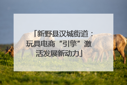 新野县汉城街道：玩具电商“引擎”激活发展新动力