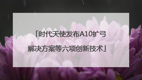 时代天使发布A10扩弓解决方案等六项创新技术
