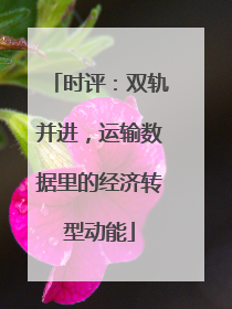 时评：双轨并进，运输数据里的经济转型动能